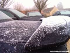 img_num_0008